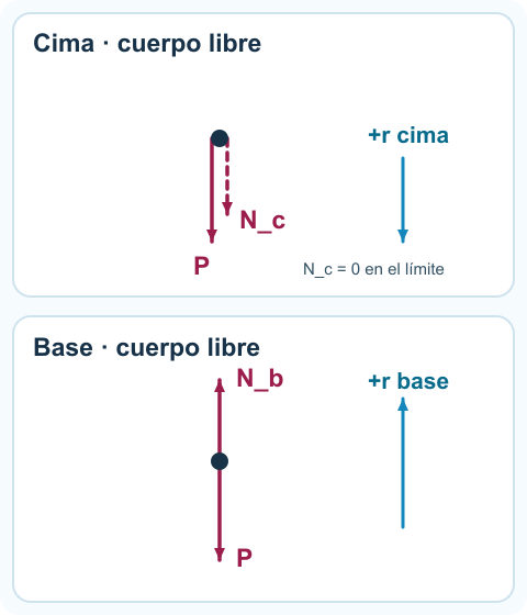 Cuerpos libres de la masa: en la cima peso y normal apuntan hacia abajo, con la normal nula en el caso límite; en la base la normal apunta hacia arriba y el peso hacia abajo. El eje radial positivo apunta al centro en ambos puntos.